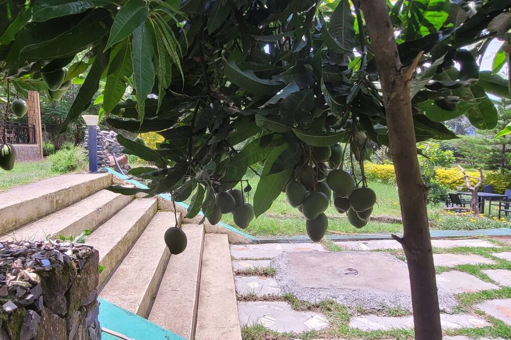 Photo of Outdoor in Gondar