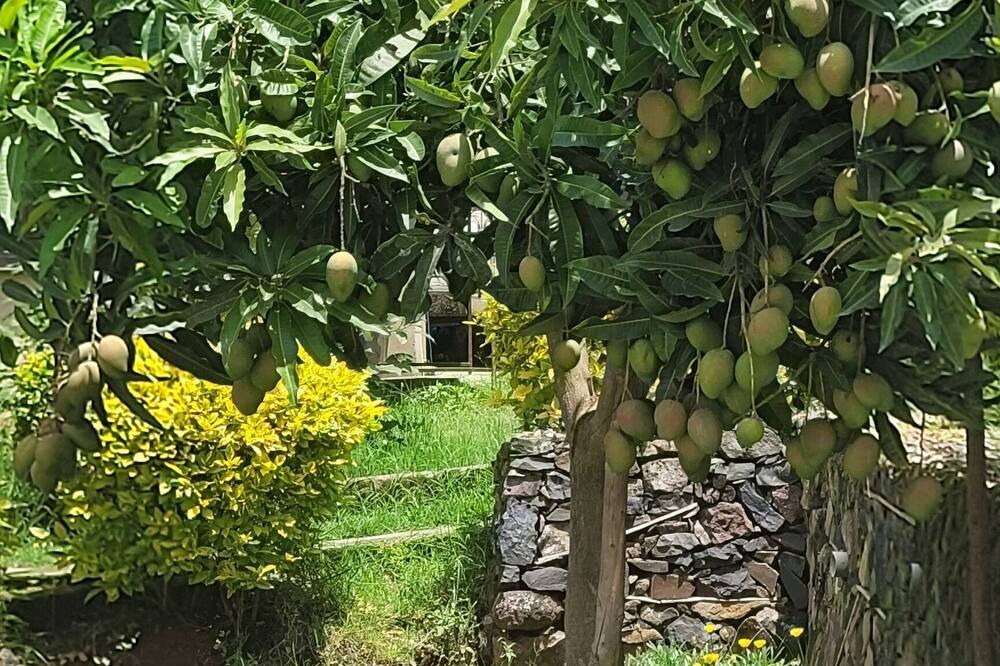 Photo of Outdoor in Gondar