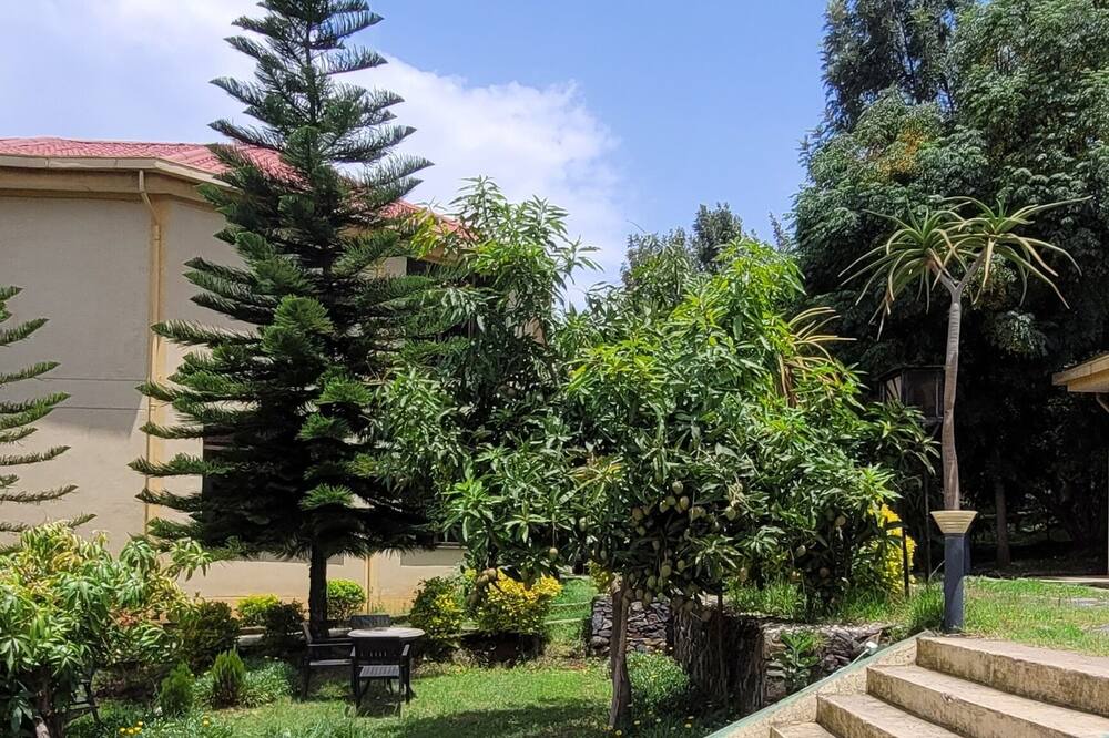 Photo of Outdoor in Gondar