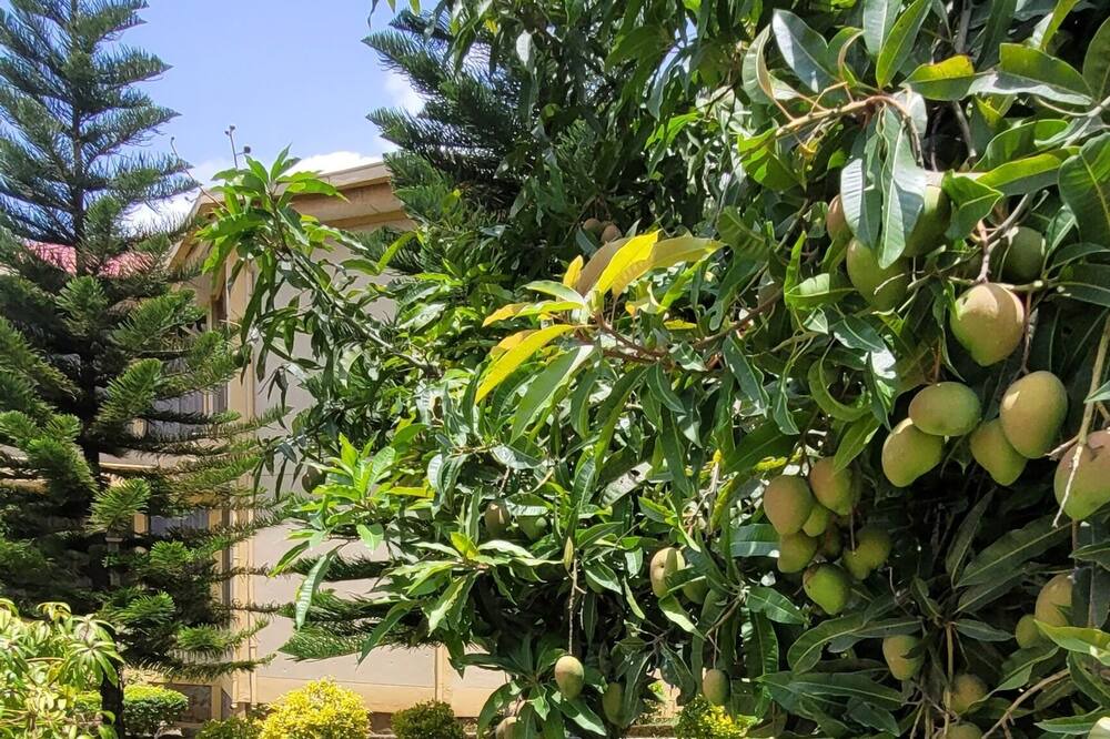 Photo of Outdoor in Gondar