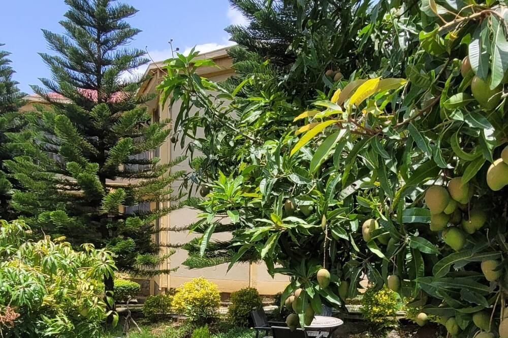 Photo of Outdoor in Gondar
