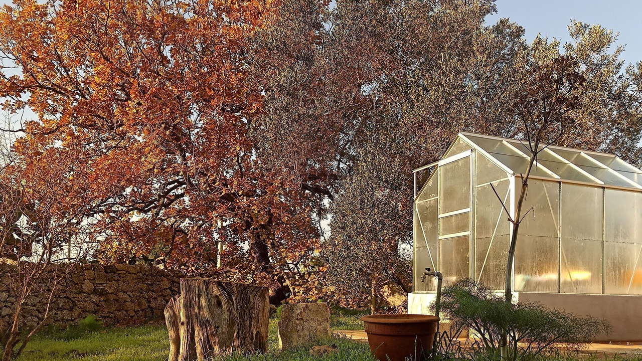 Photo of Outdoor in Ceglie Messapica