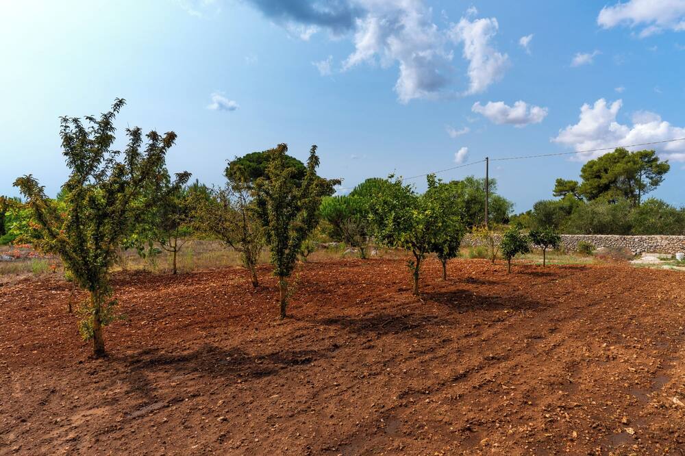 Photo of Outdoor in Spongano