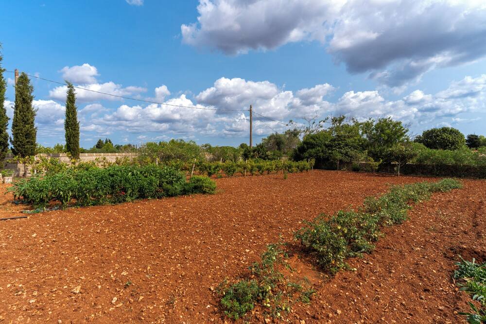 Photo of Outdoor in Spongano