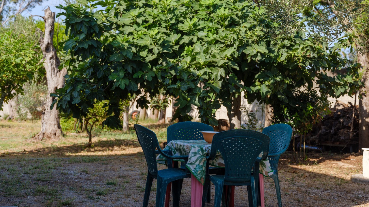Photo of Outdoor in Lequile