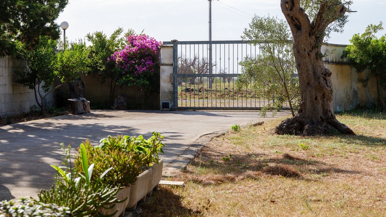 Photo of Outdoor in Lequile
