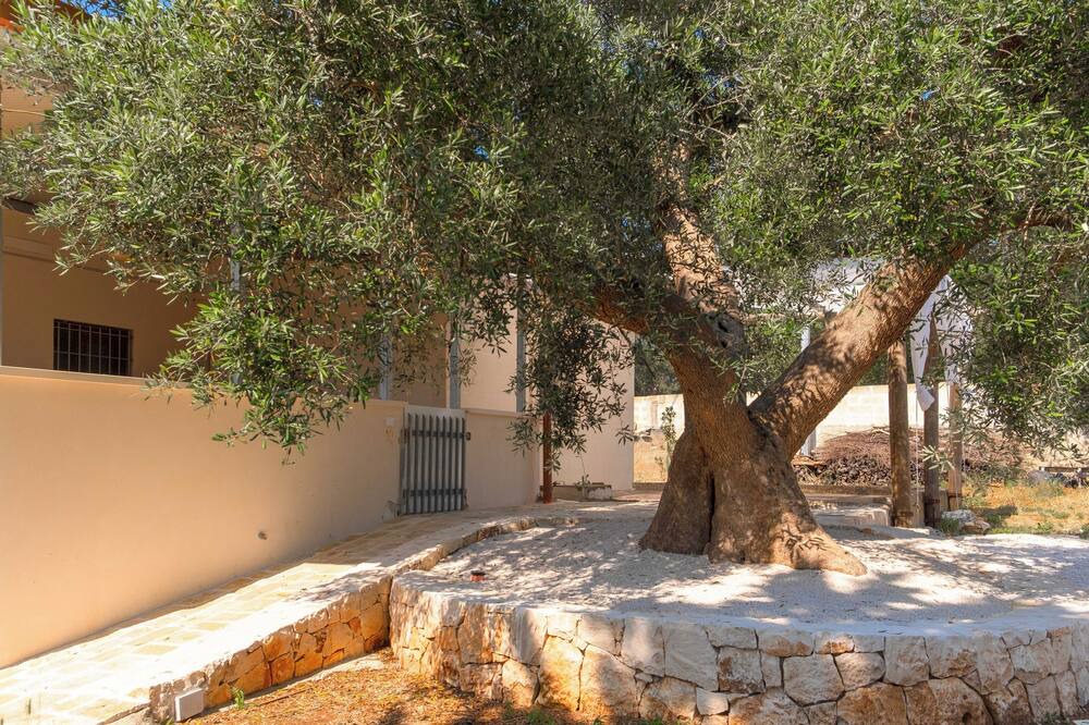 Photo of Outdoor in Villa Castelli