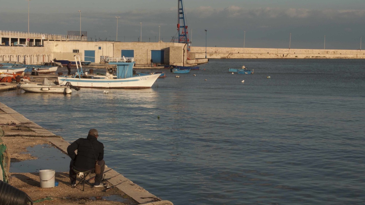 Photo of Others in Bari City Centre