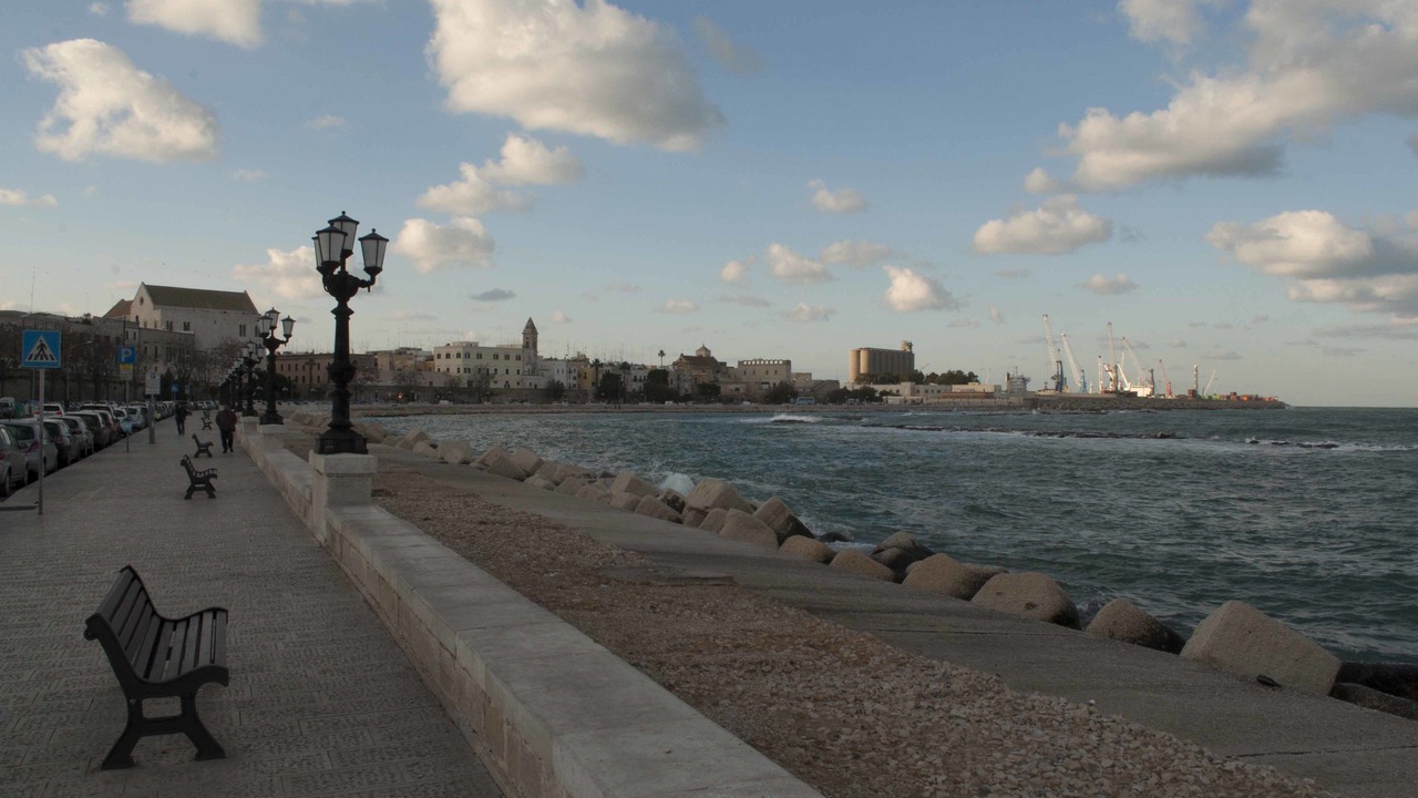 Photo of Others in Bari City Centre