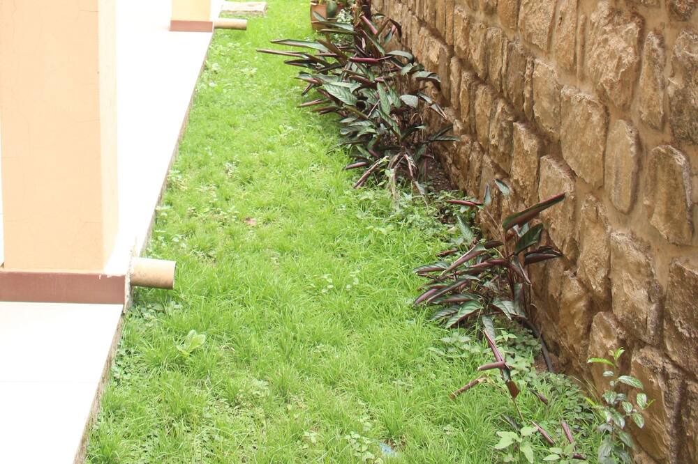 Photo of Outdoor in Gondar