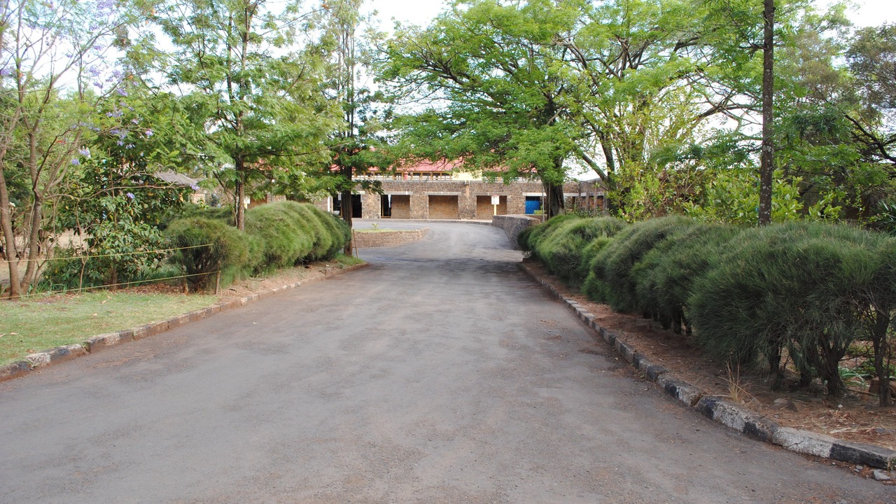 Photo of Outdoor in Gondar