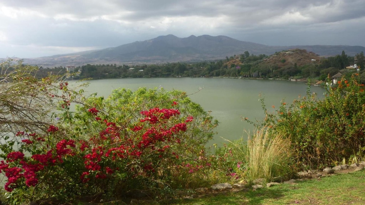 Photo of Outdoor in Debre Zeyit
