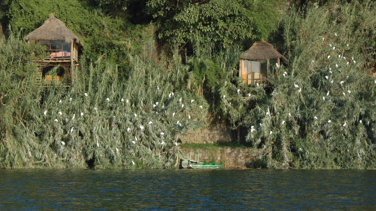 Photo of Outdoor in Debre Zeyit