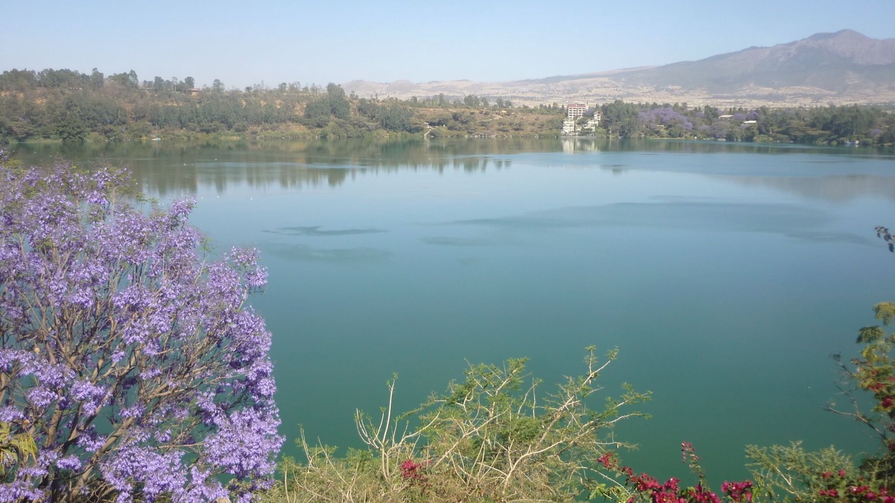 Photo of Others in Debre Zeyit