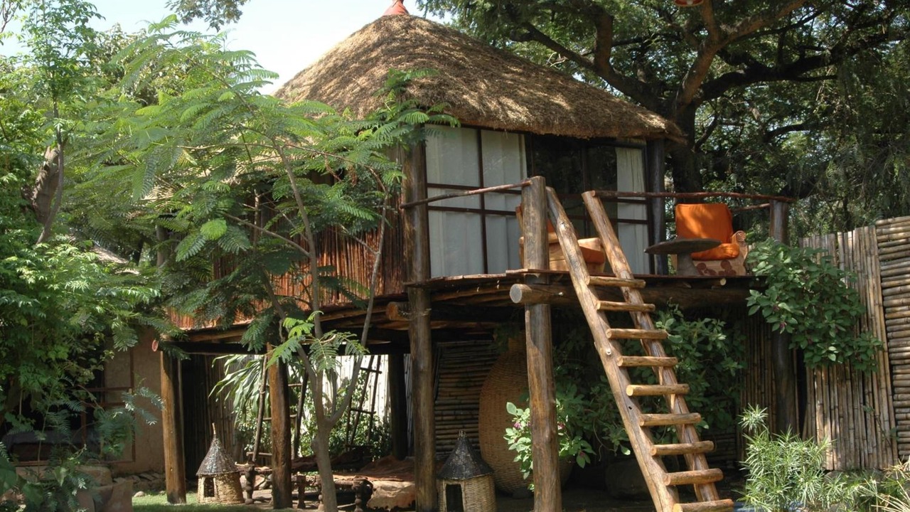Photo of Outdoor in Debre Zeyit