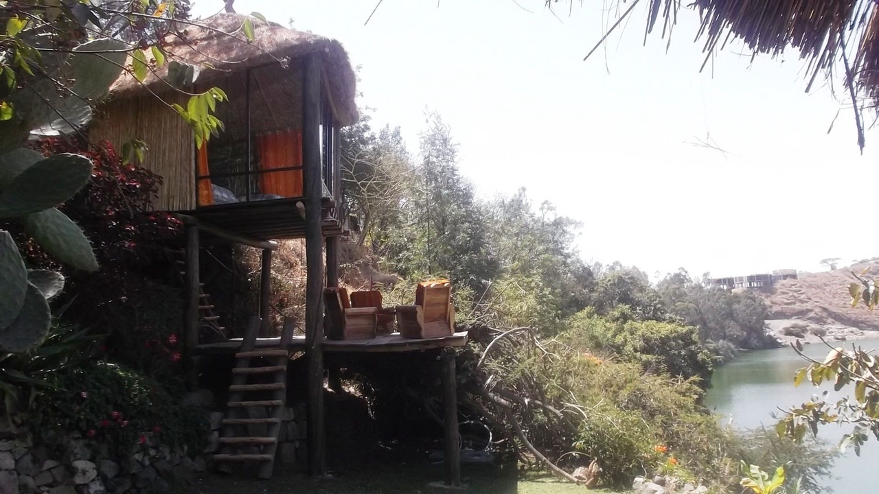 Photo of Others in Debre Zeyit