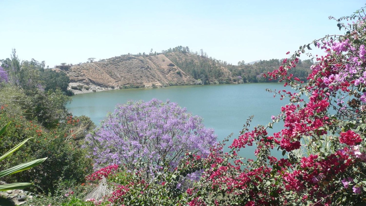 Photo of Outdoor in Debre Zeyit