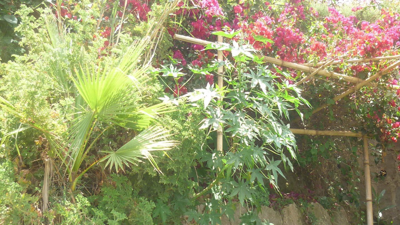 Photo of Outdoor in Debre Zeyit