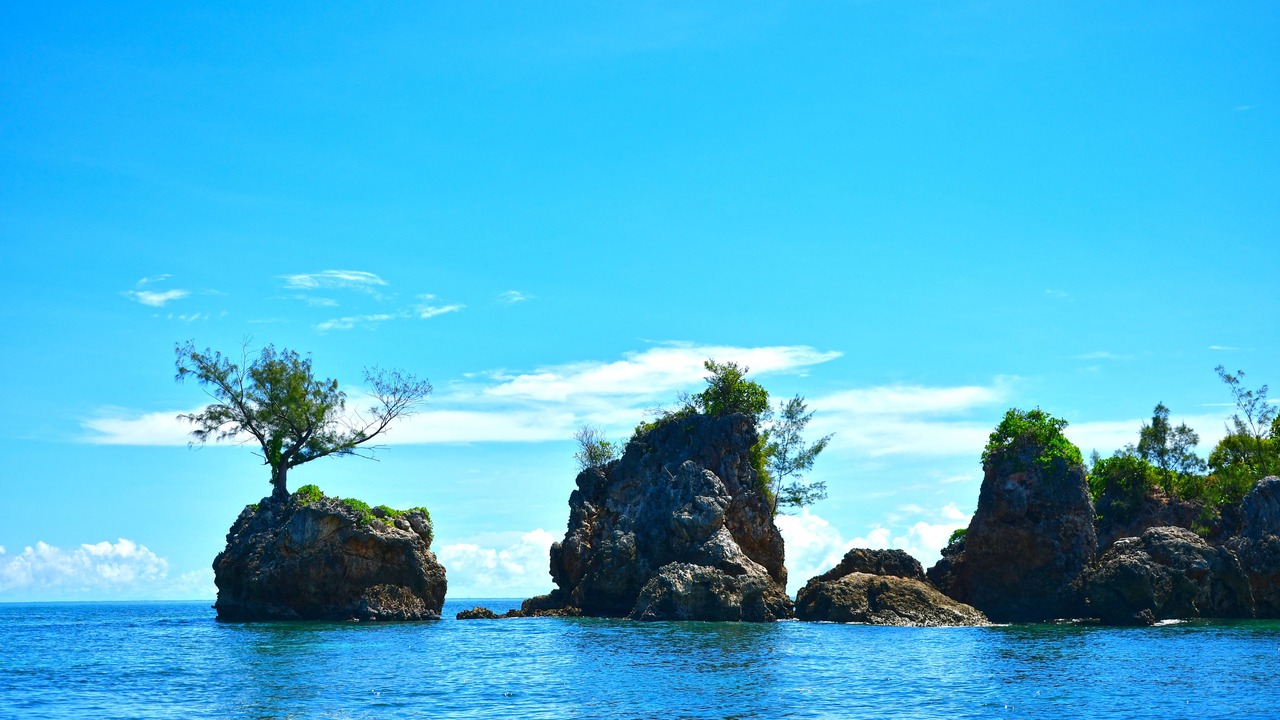 Photo of Others in Nosy Saba