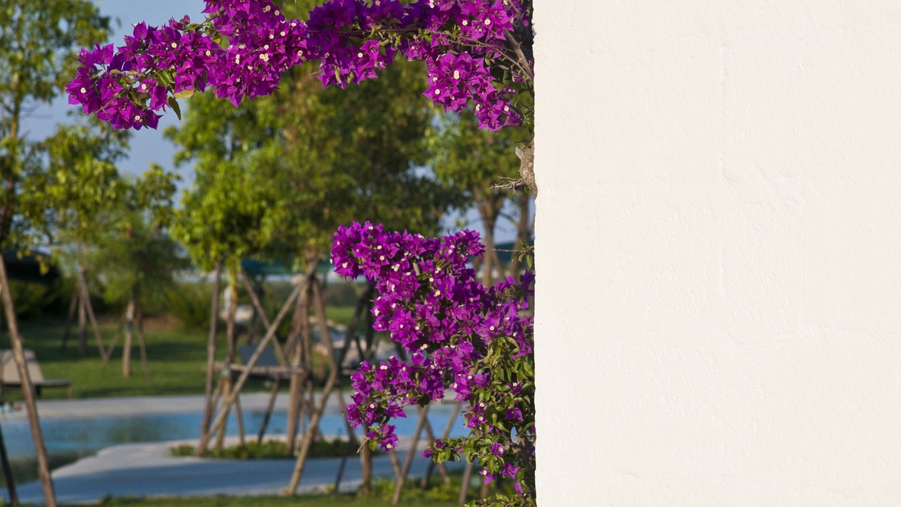 Photo of Outdoor in Carpignano Salentino