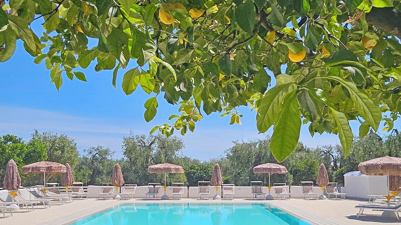 Photo of Outdoor in Mattinata