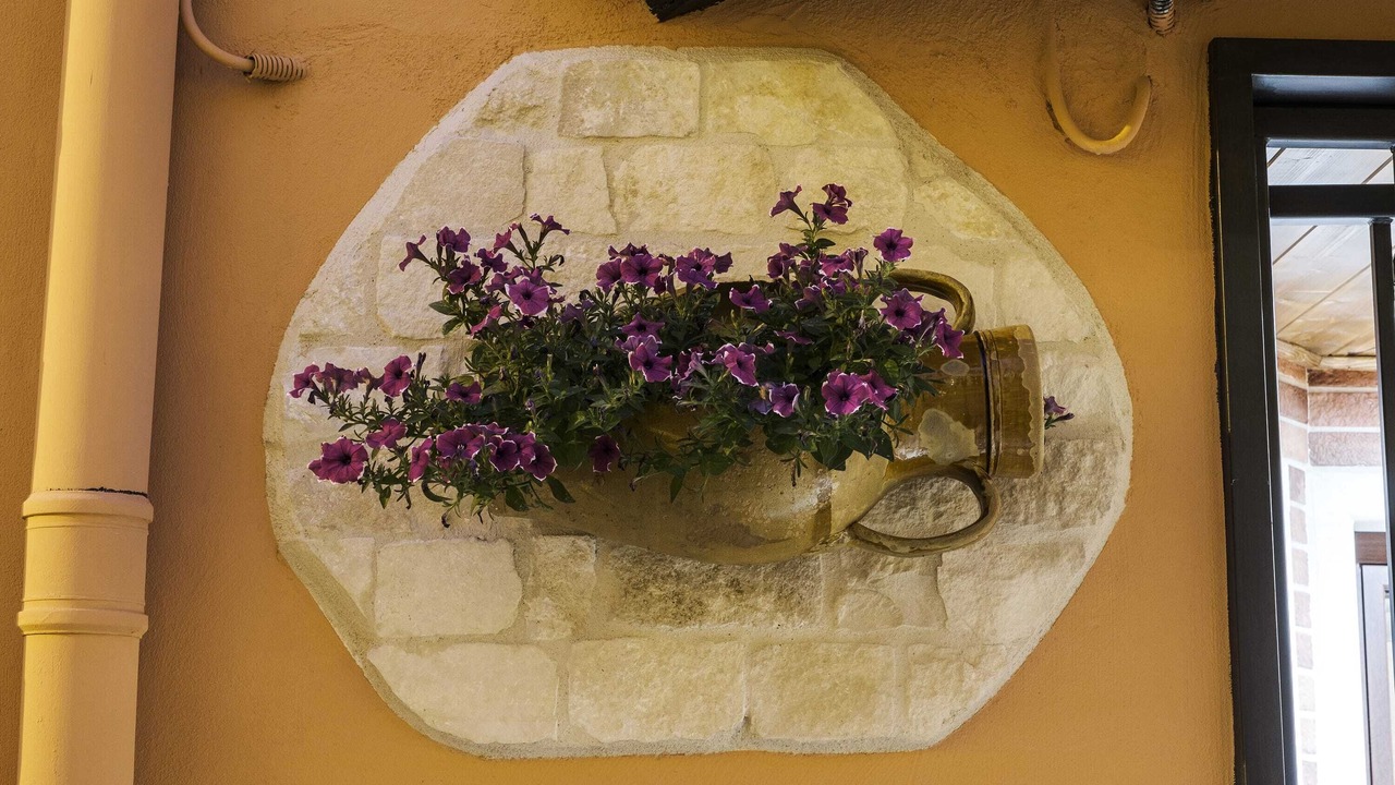 Photo of Others in Andria