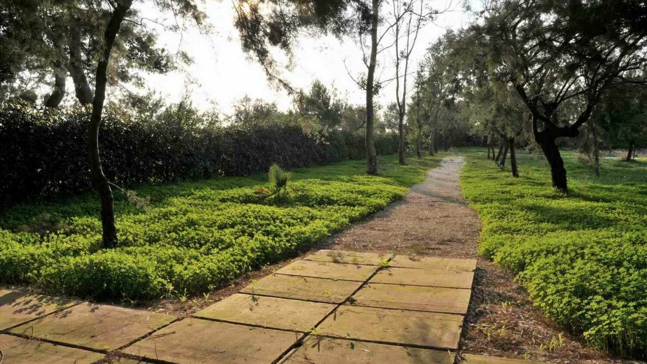 Photo of Outdoor in Punta Prosciutto