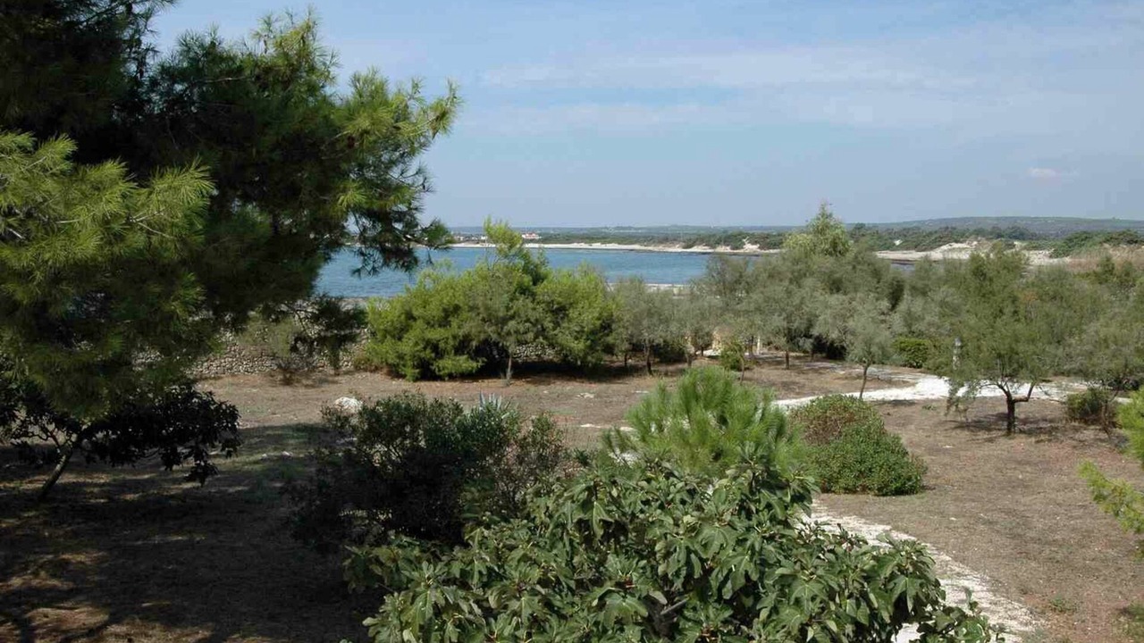 Photo of Outdoor in Punta Prosciutto