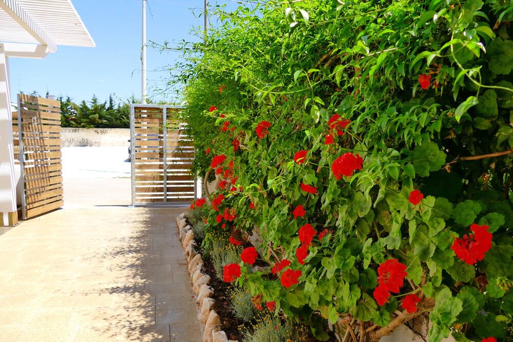 Photo of Outdoor in Torre Lapillo