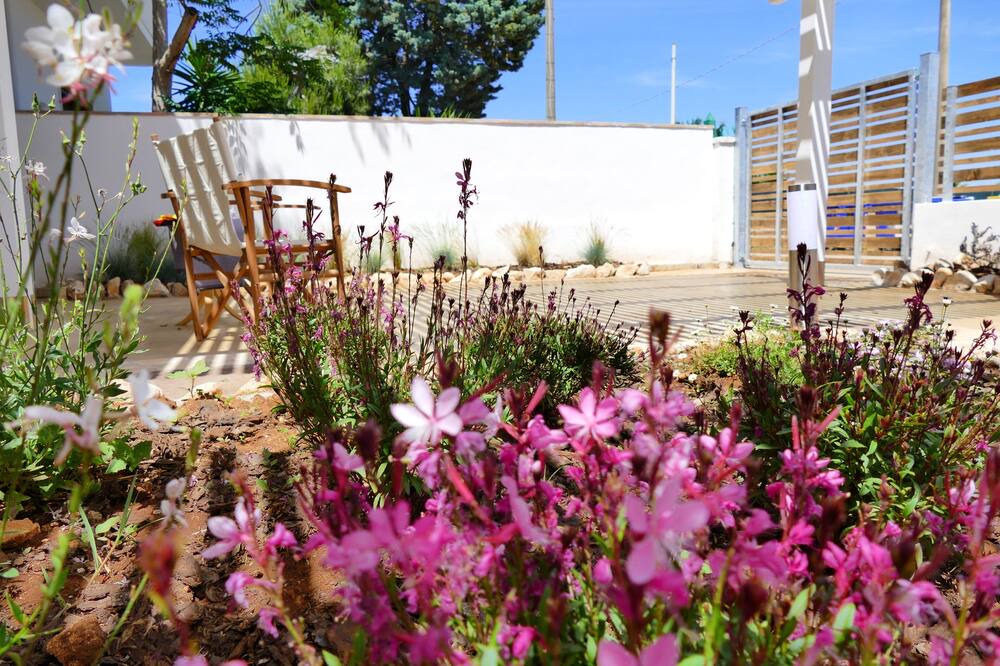 Photo of Outdoor in Torre Lapillo