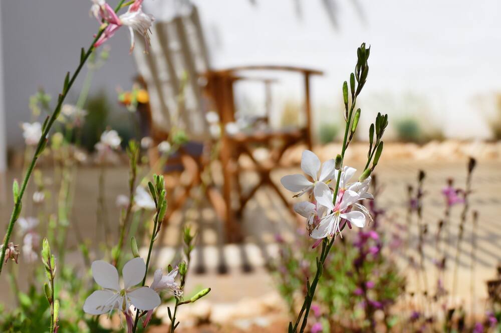 Photo of Outdoor in Torre Lapillo