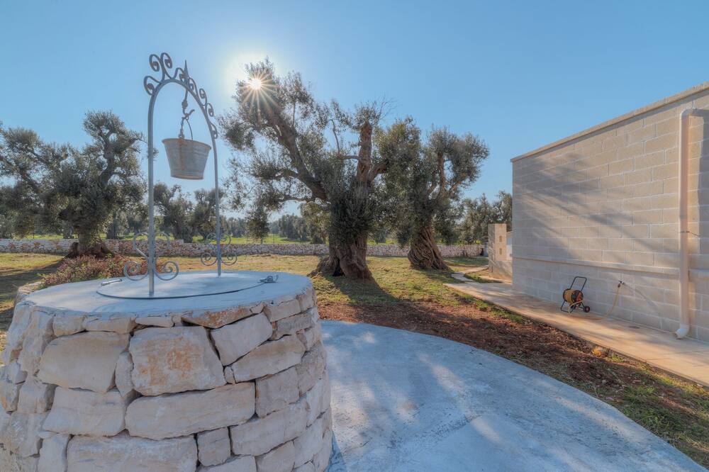 Photo of Outdoor in Serranova
