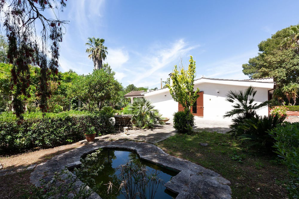 Photo of Outdoor in Oria