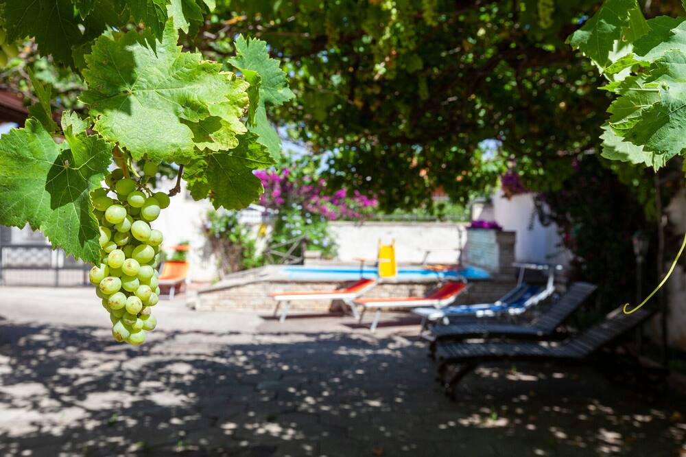 Photo of Outdoor in Giorgilorio