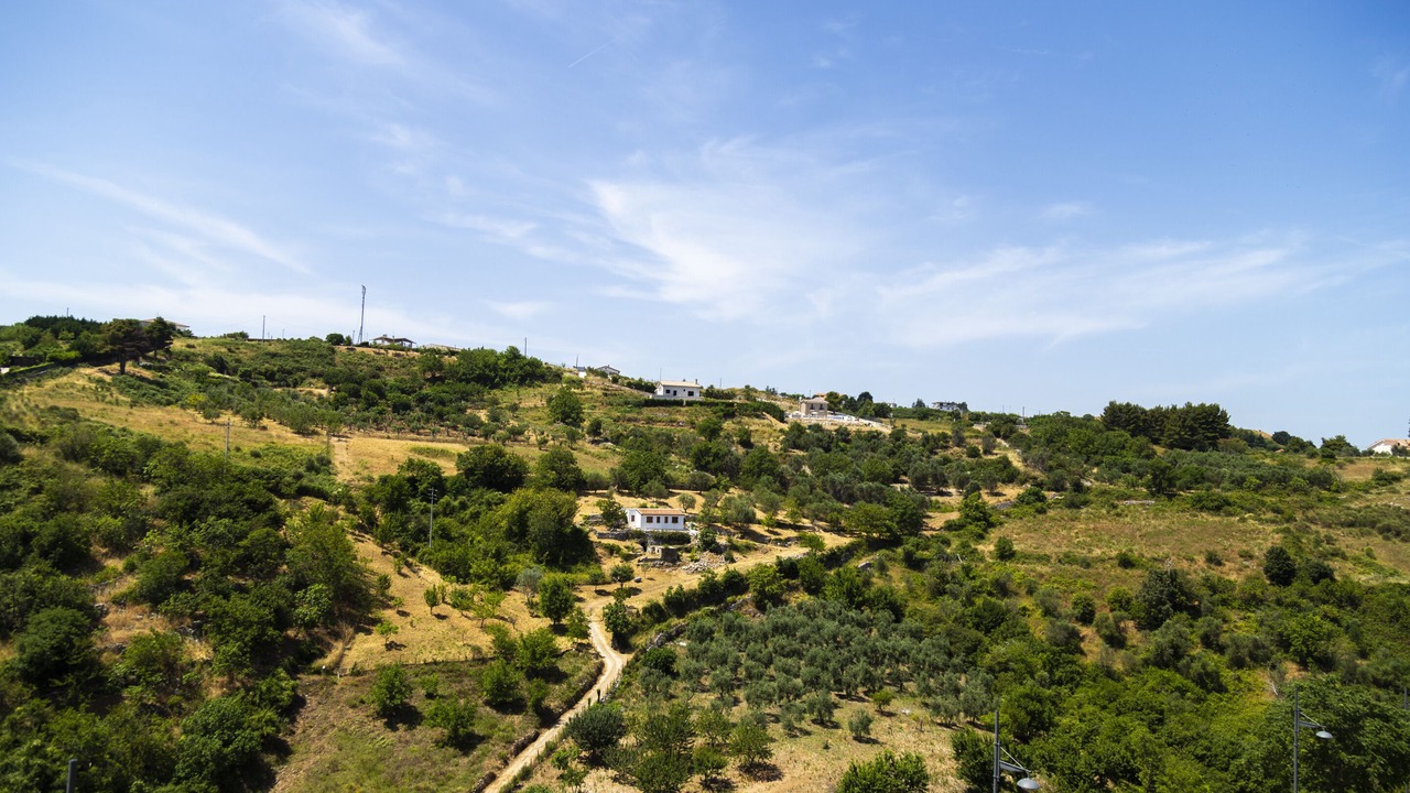 Photo of Others in Vico del Gargano