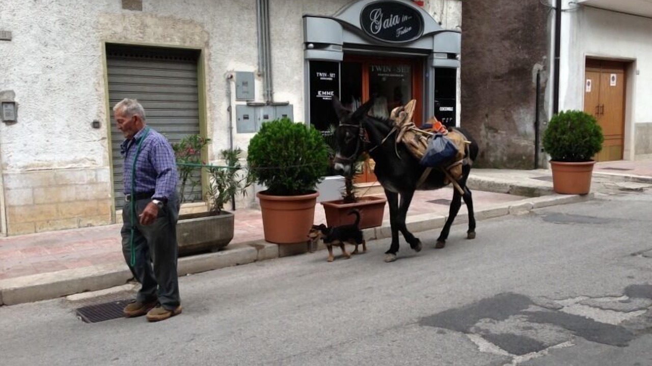 Photo of Others in Vico del Gargano