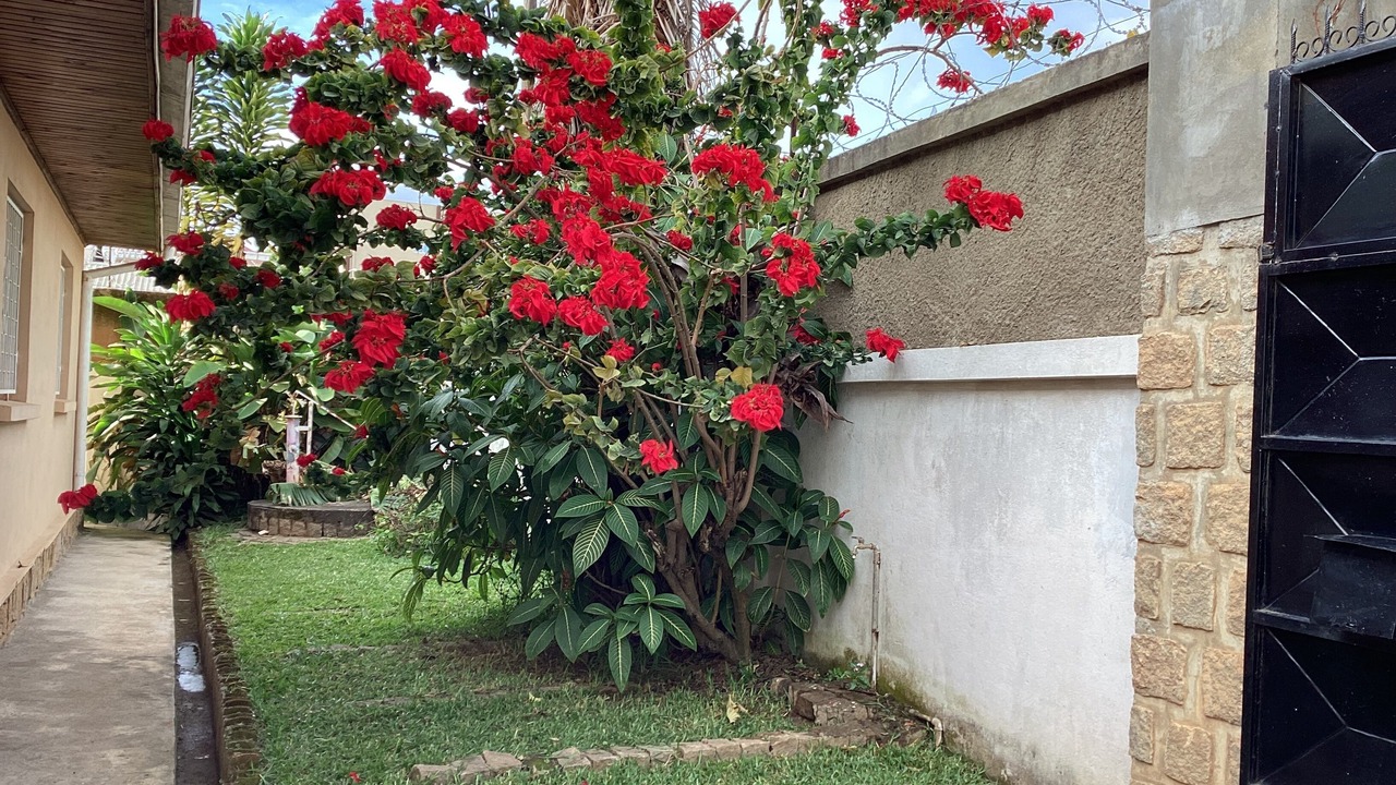 Photo of Outdoor in Antananarivo