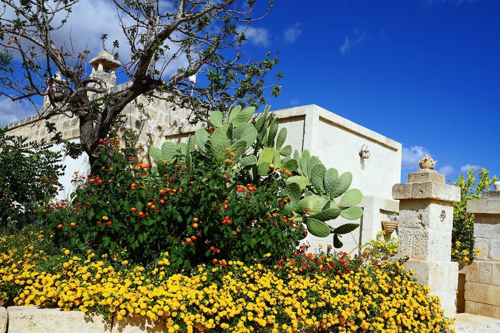 Photo of Outdoor in Pezze di Greco