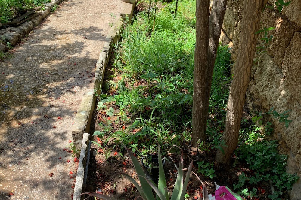 Photo of Outdoor in Calimera