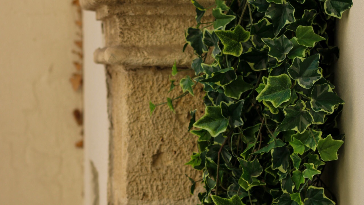 Photo of Outdoor in Altamura