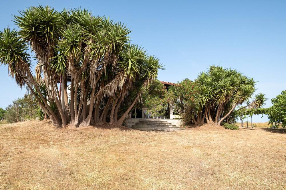 Photo of Outdoor in Uggiano la Chiesa