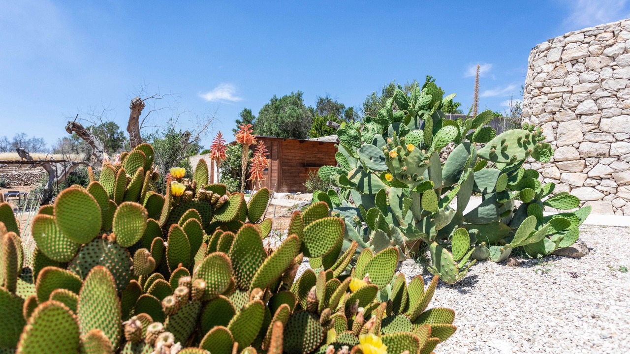 Photo of Outdoor in Alliste