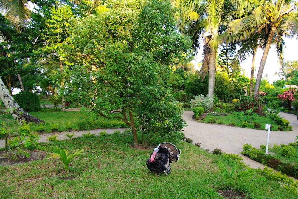 Photo of Outdoor in Foulpointe