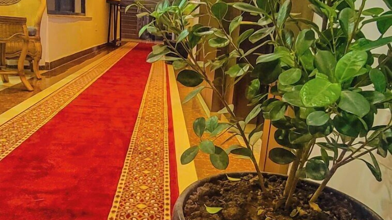 Photo of Bedroom in Awassa