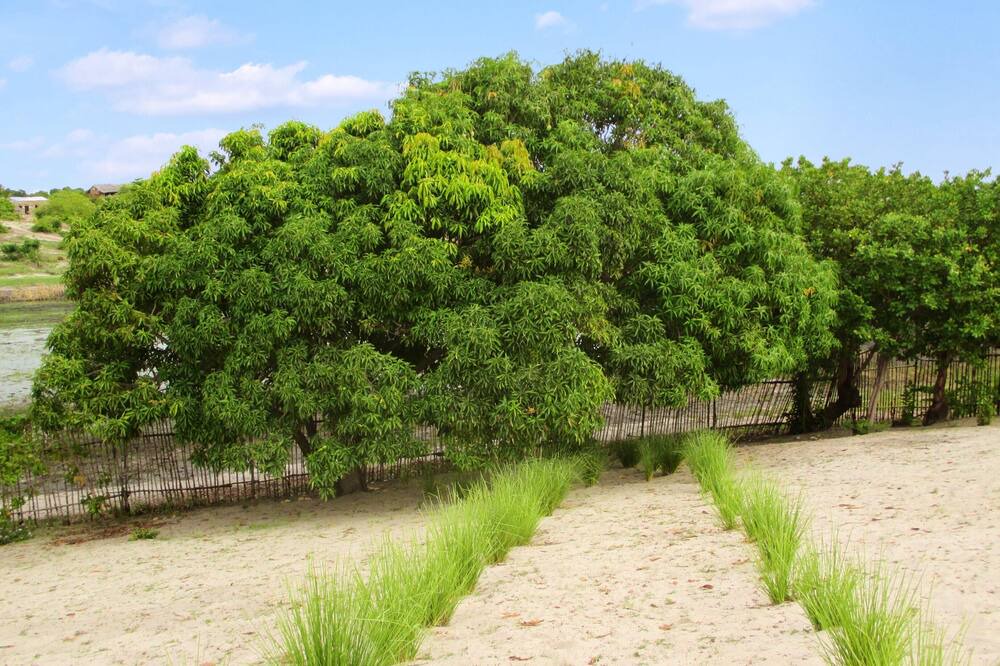 Photo of Outdoor in Mahajanga