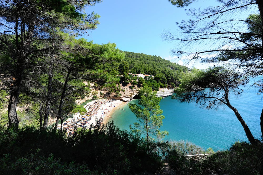 Photo of Others in Pugnochiuso