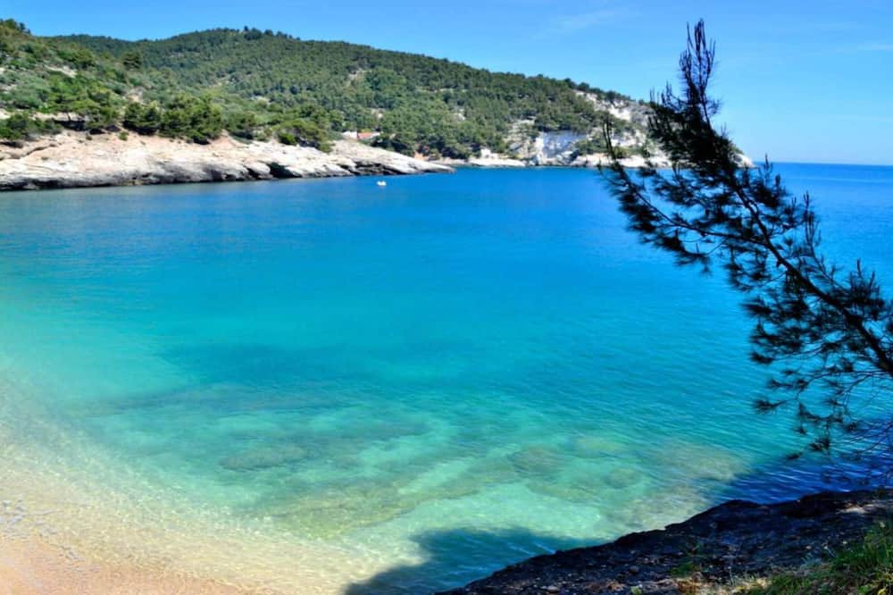 Photo of Others in Pugnochiuso