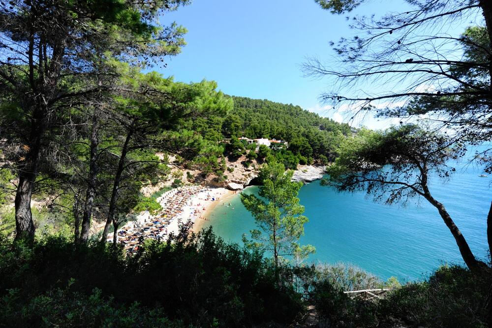 Photo of Others in Pugnochiuso