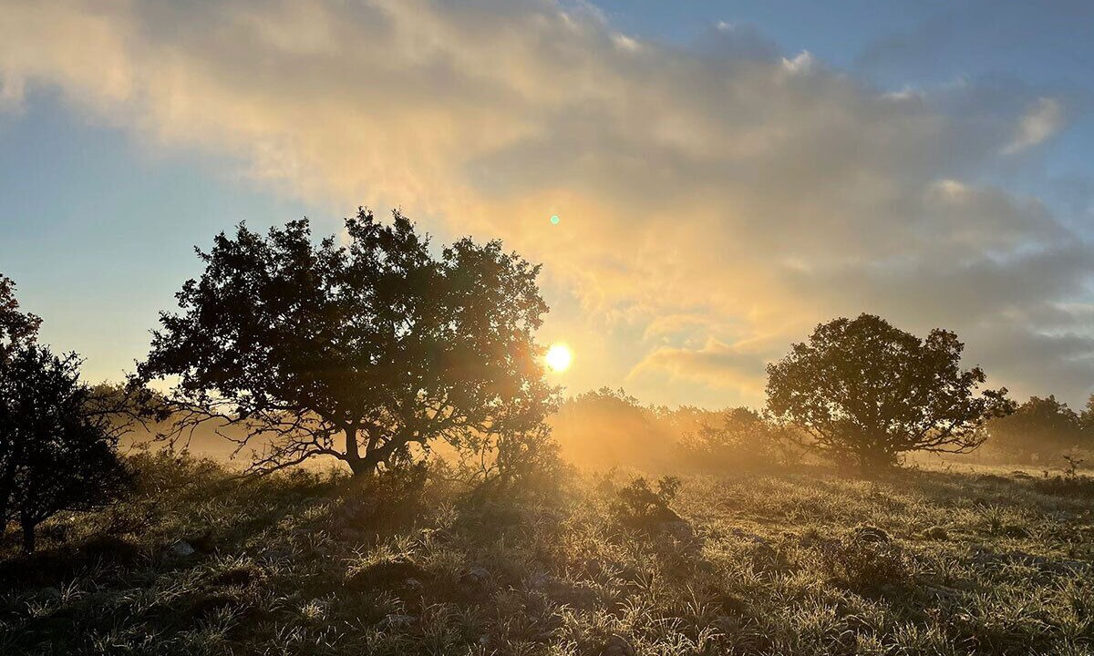 Photo of Outdoor in Altamura