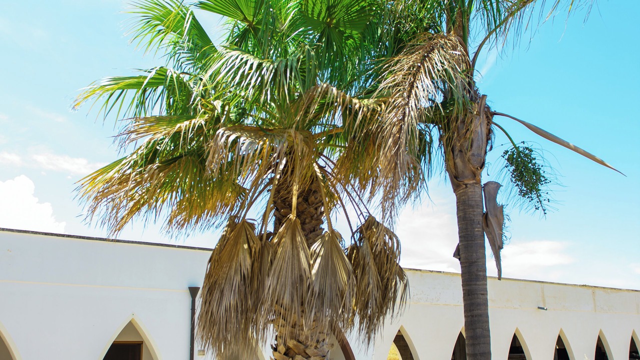 Photo of Outdoor in Vanze